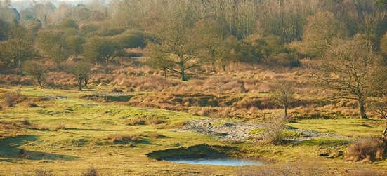 Naturschutzgebiet De Westhoek